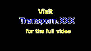 Smalltit tranny pornstar masturbating singular